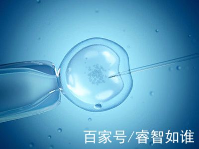 专业同志代怀服务收费标准